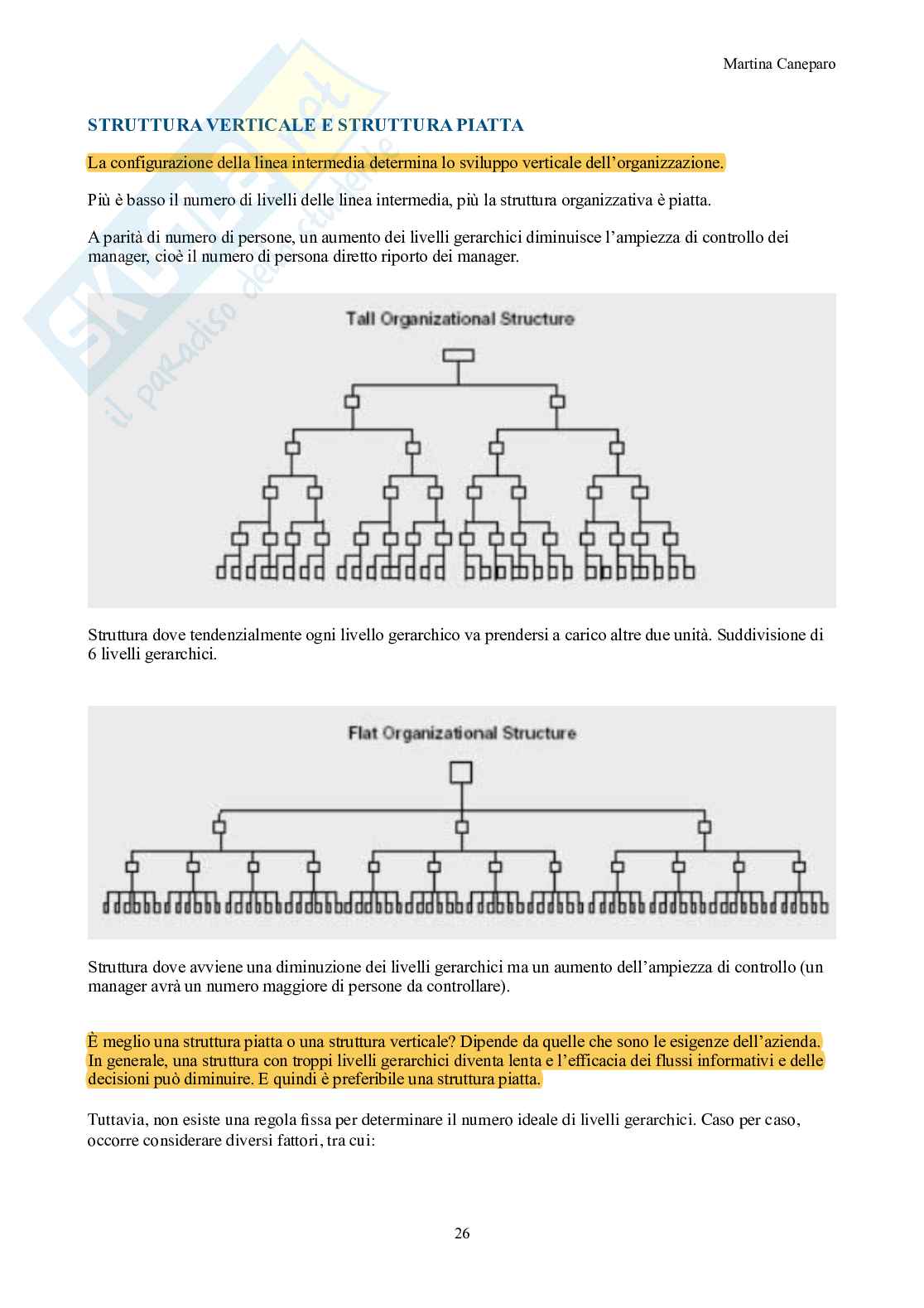 Organizzazione aziendale – Teoria completa in 9 capitoli (canvas, Mintzberg, forme) Pag. 26