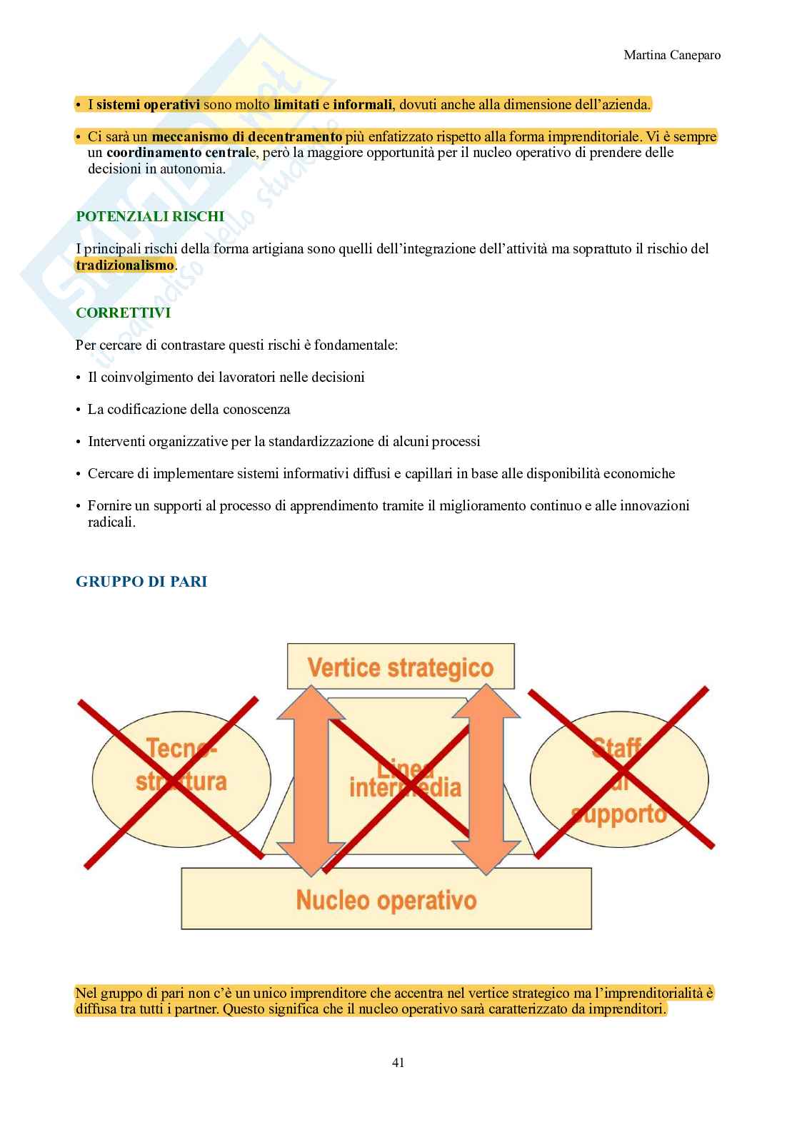 Organizzazione aziendale – Teoria completa in 9 capitoli (canvas, Mintzberg, forme) Pag. 41