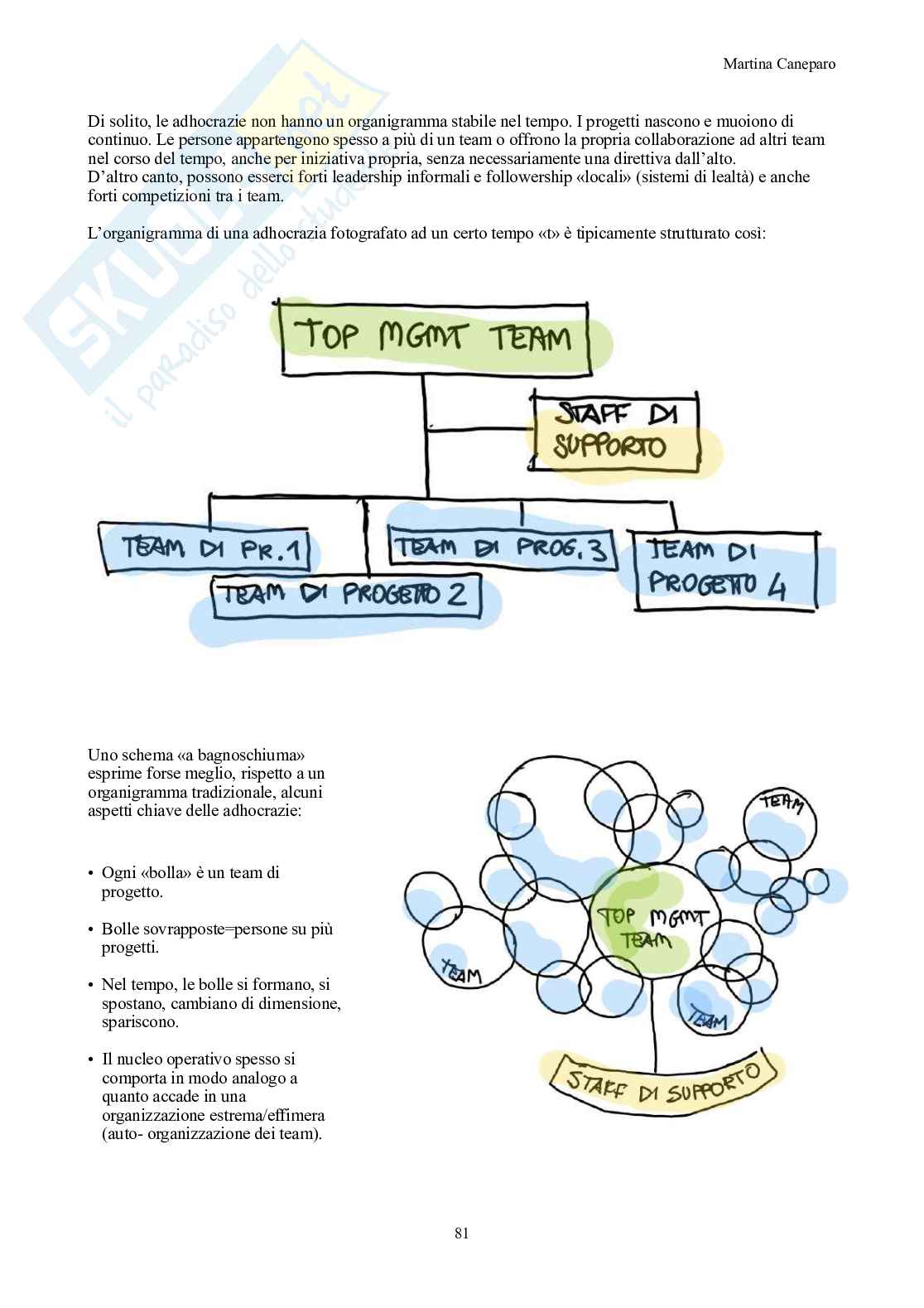 Organizzazione aziendale – Teoria completa in 9 capitoli (canvas, Mintzberg, forme) Pag. 81