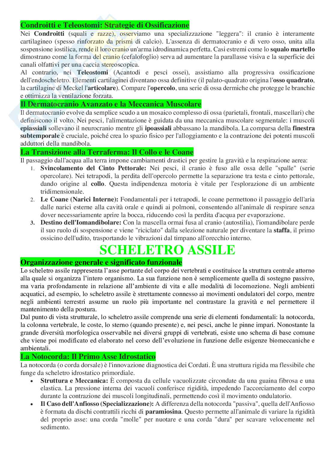 Appunti per l’orale di Anatomia comparata con laboratorio Pag. 16