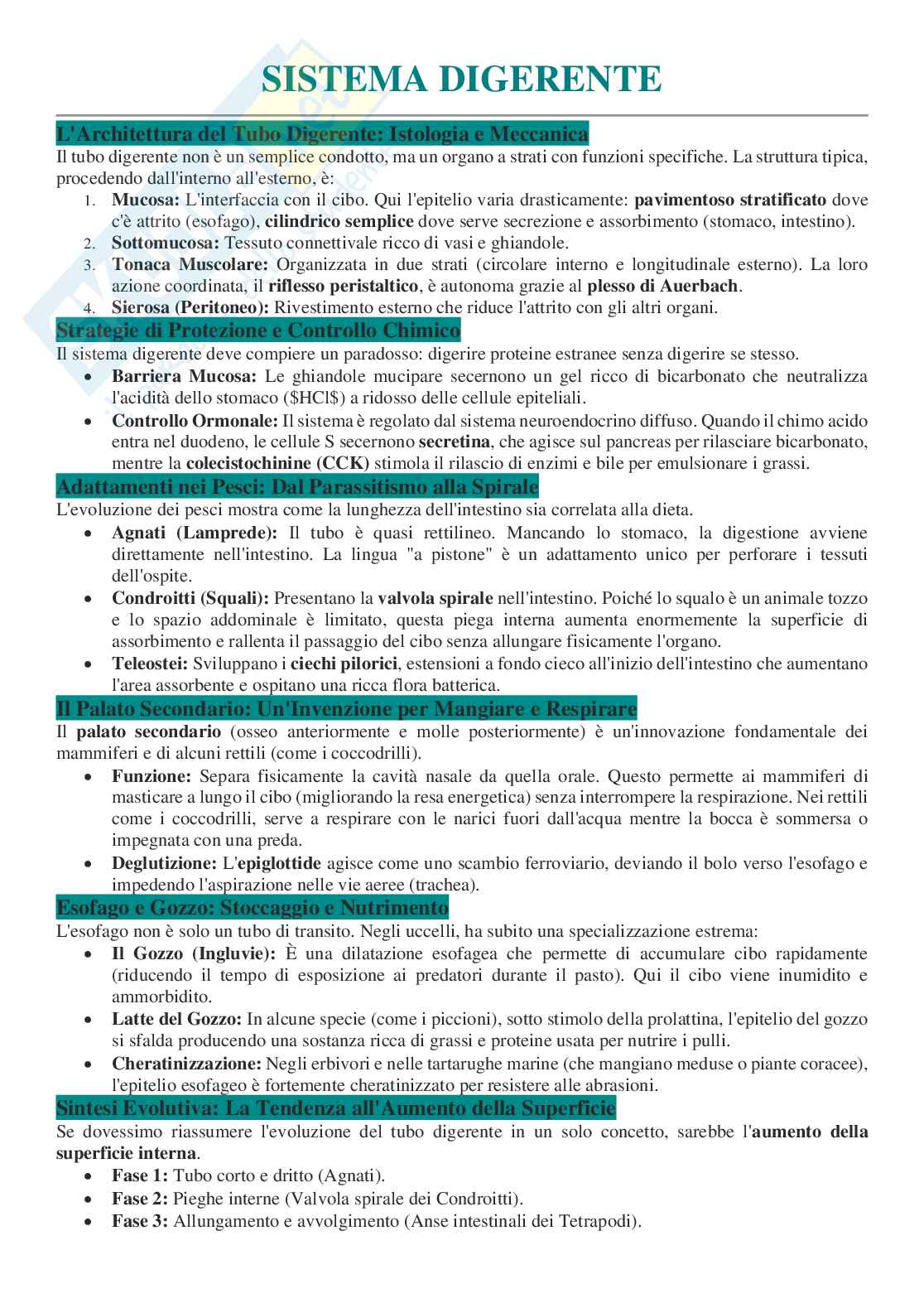 Appunti per l’orale di Anatomia comparata con laboratorio Pag. 21