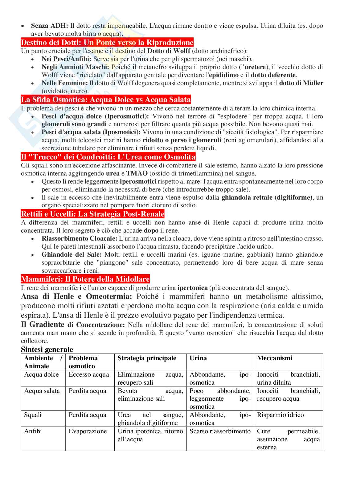 Appunti per l’orale di Anatomia comparata con laboratorio Pag. 31