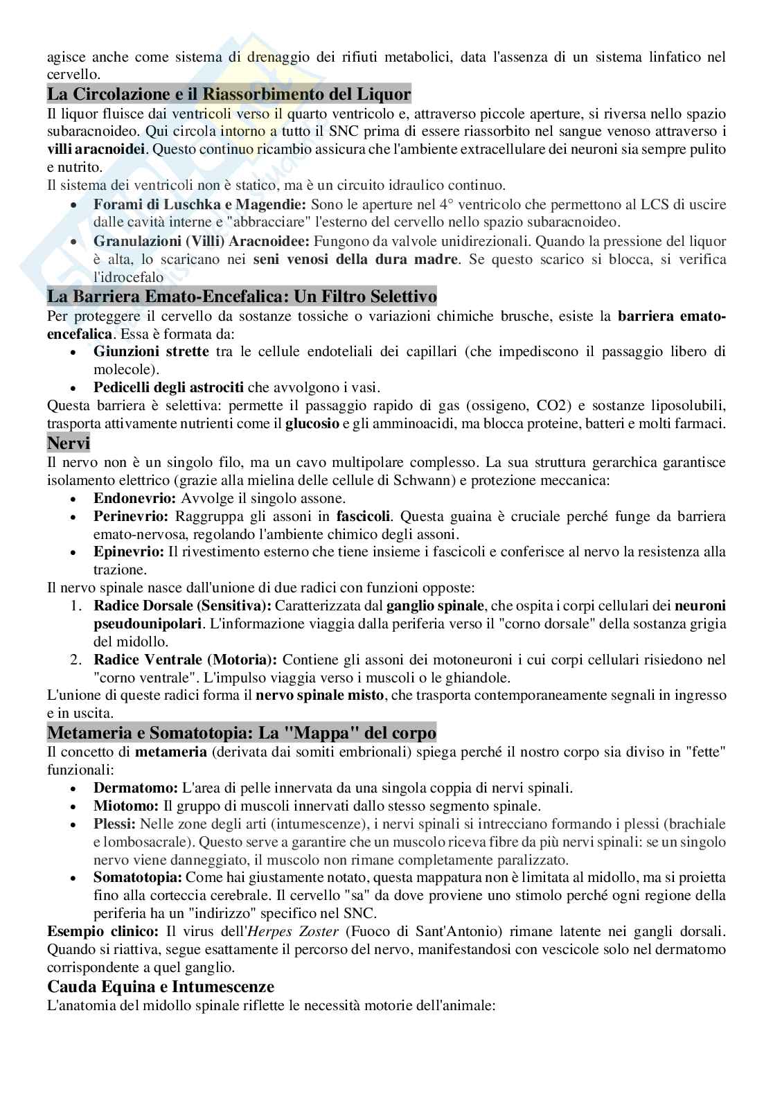 Appunti per l’orale di Anatomia comparata con laboratorio Pag. 36