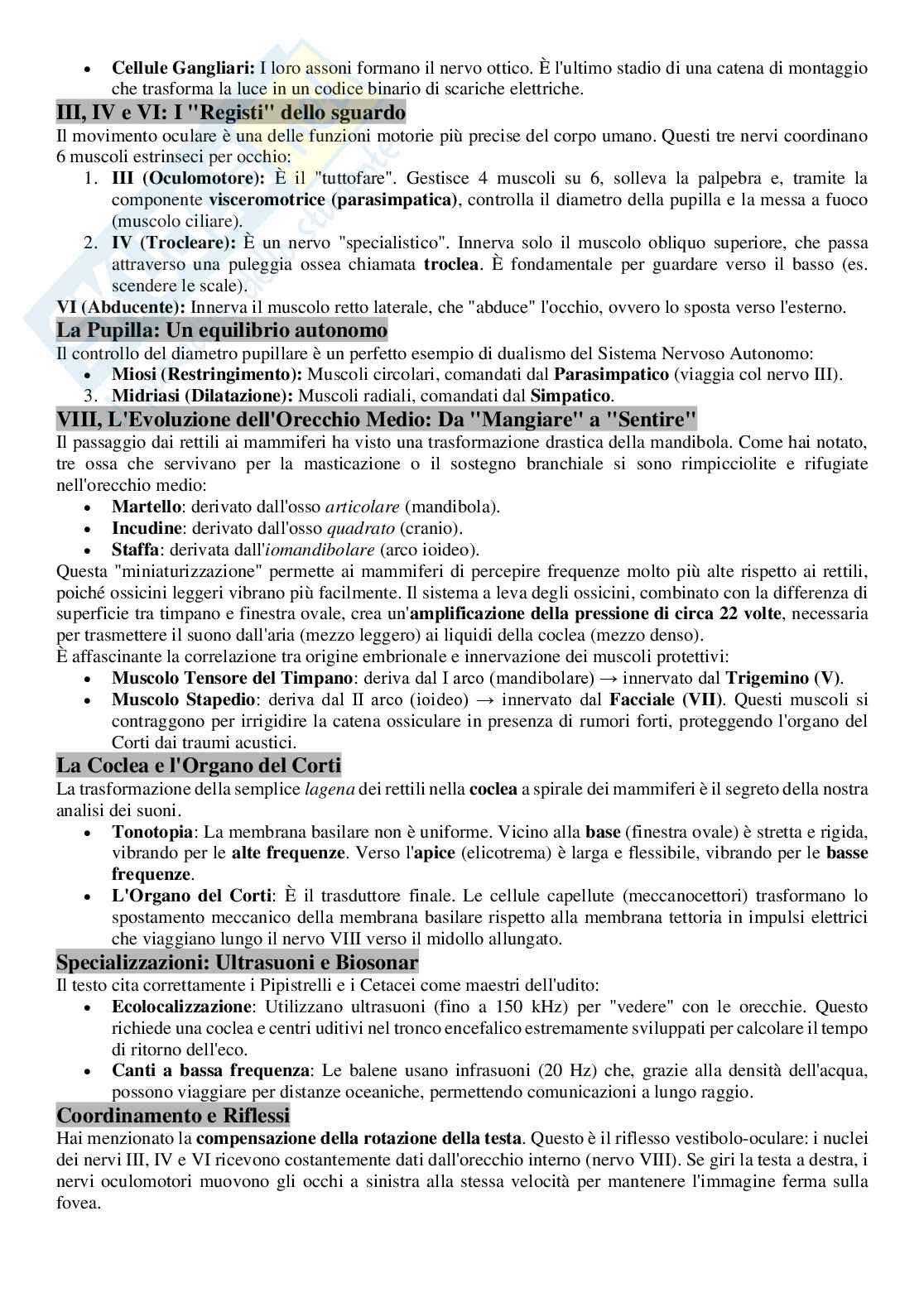 Appunti per l’orale di Anatomia comparata con laboratorio Pag. 41