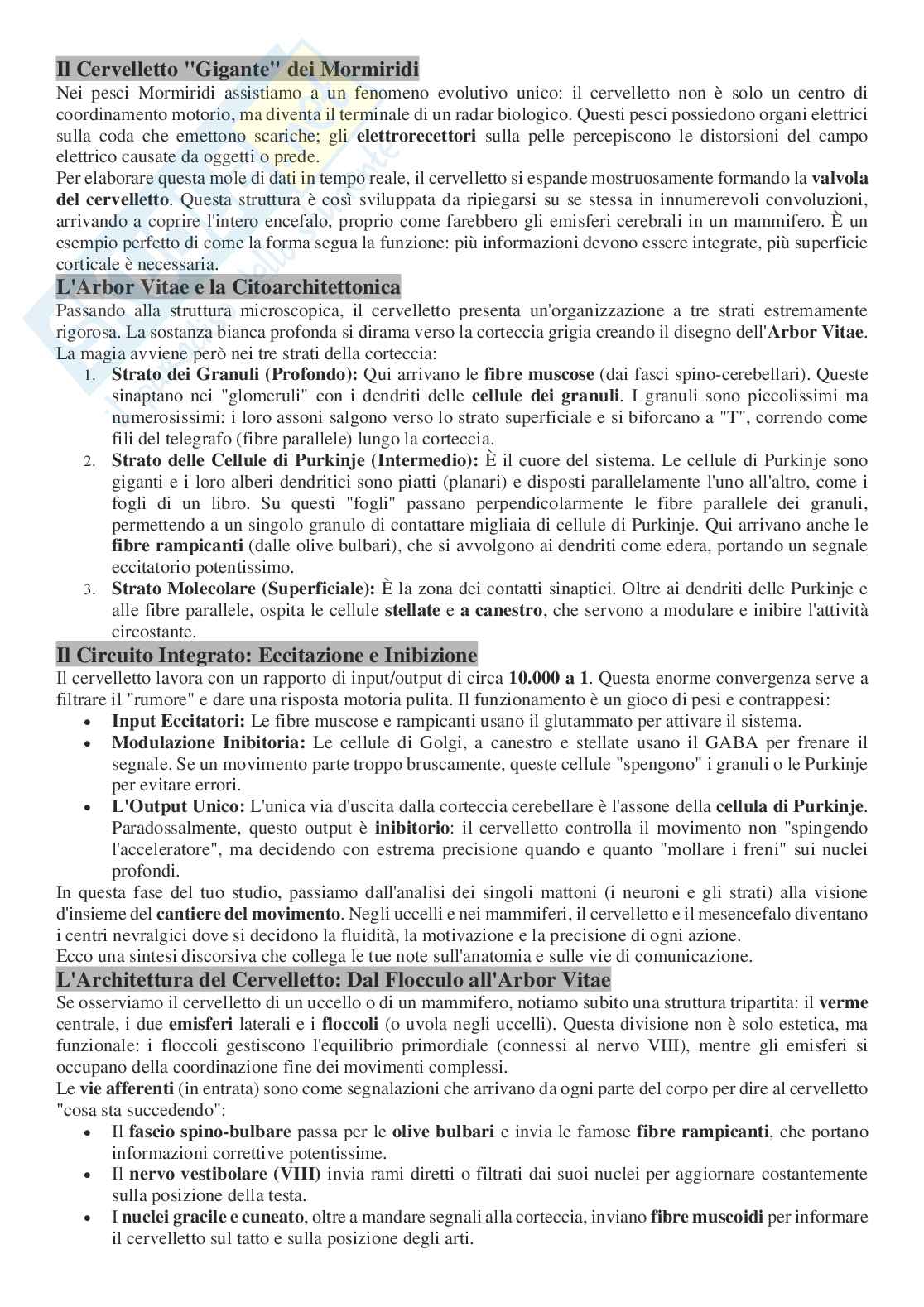 Appunti per l’orale di Anatomia comparata con laboratorio Pag. 46