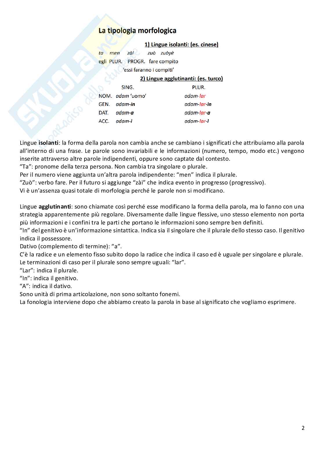 Appunti di Linguistica - morfologia  Pag. 2
