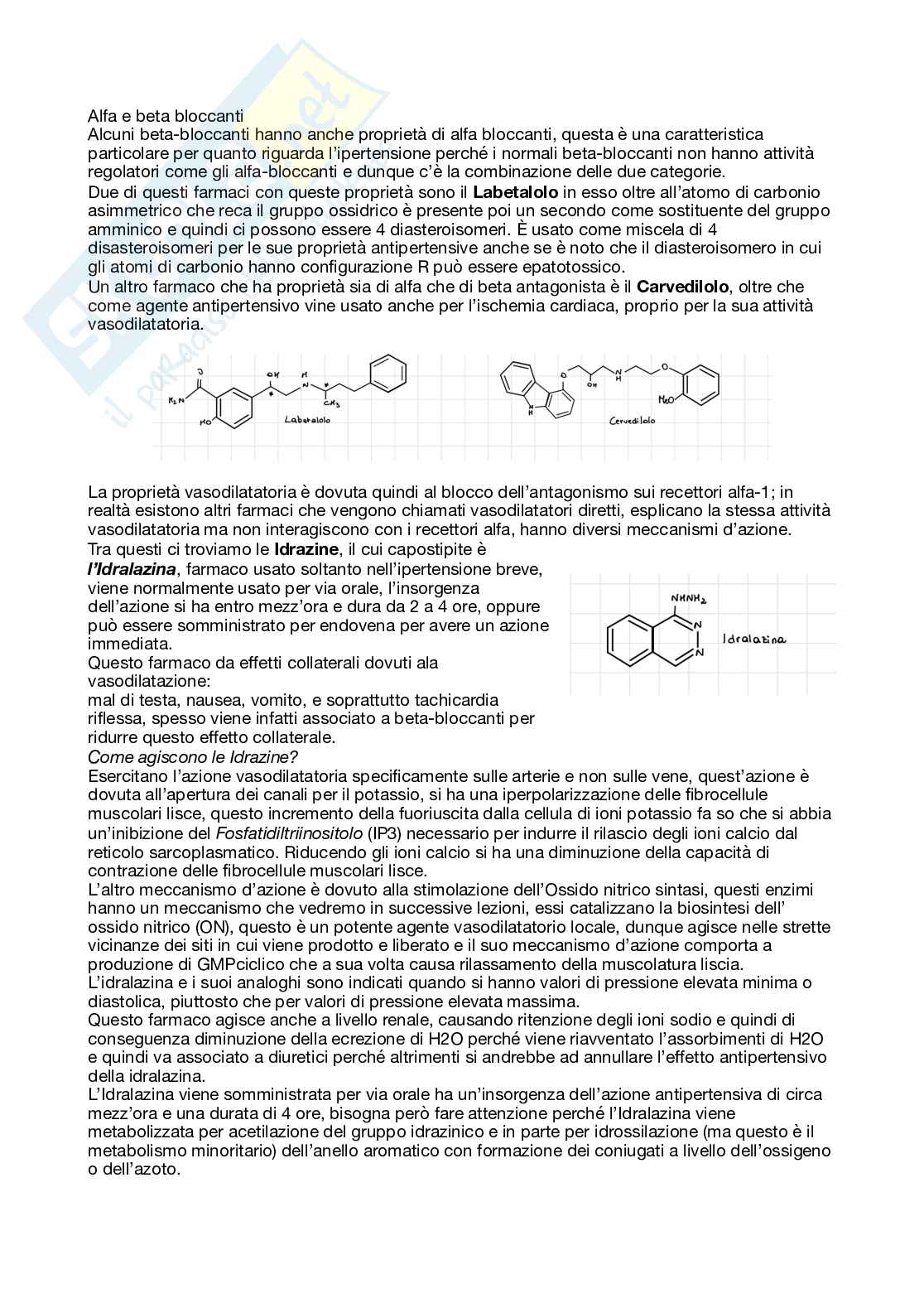 Apputi esame lezioni 23 su 33 di Chimica farmaceutica e tossicologica 2  Pag. 1