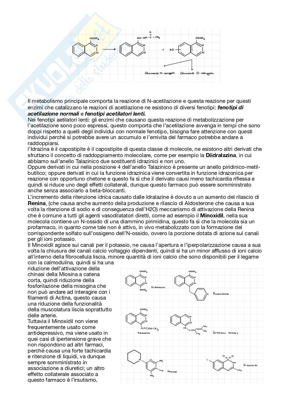 Apputi esame lezioni 23 su 33 di Chimica farmaceutica e tossicologica 2  Pag. 2