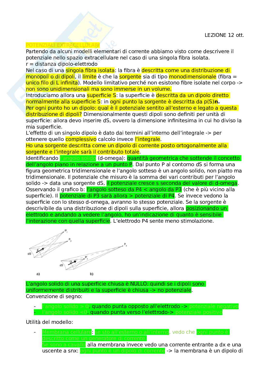 Potenziali extracellulari Pag. 1