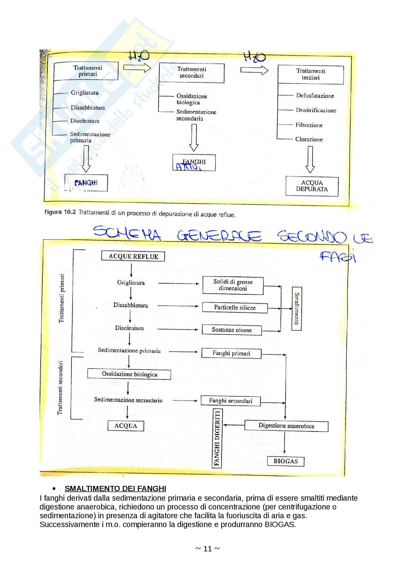 Microbiologia alimentare e industriale -  microbiologia industriale Pag. 11