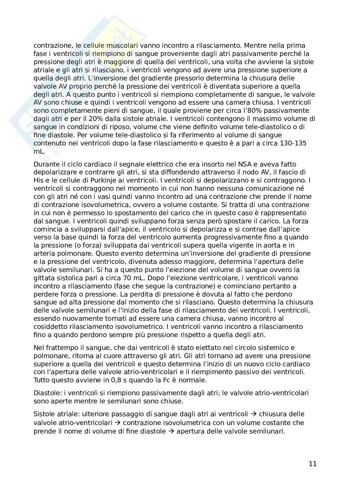 Appunti su elettrofisiologia cardiaca Pag. 11