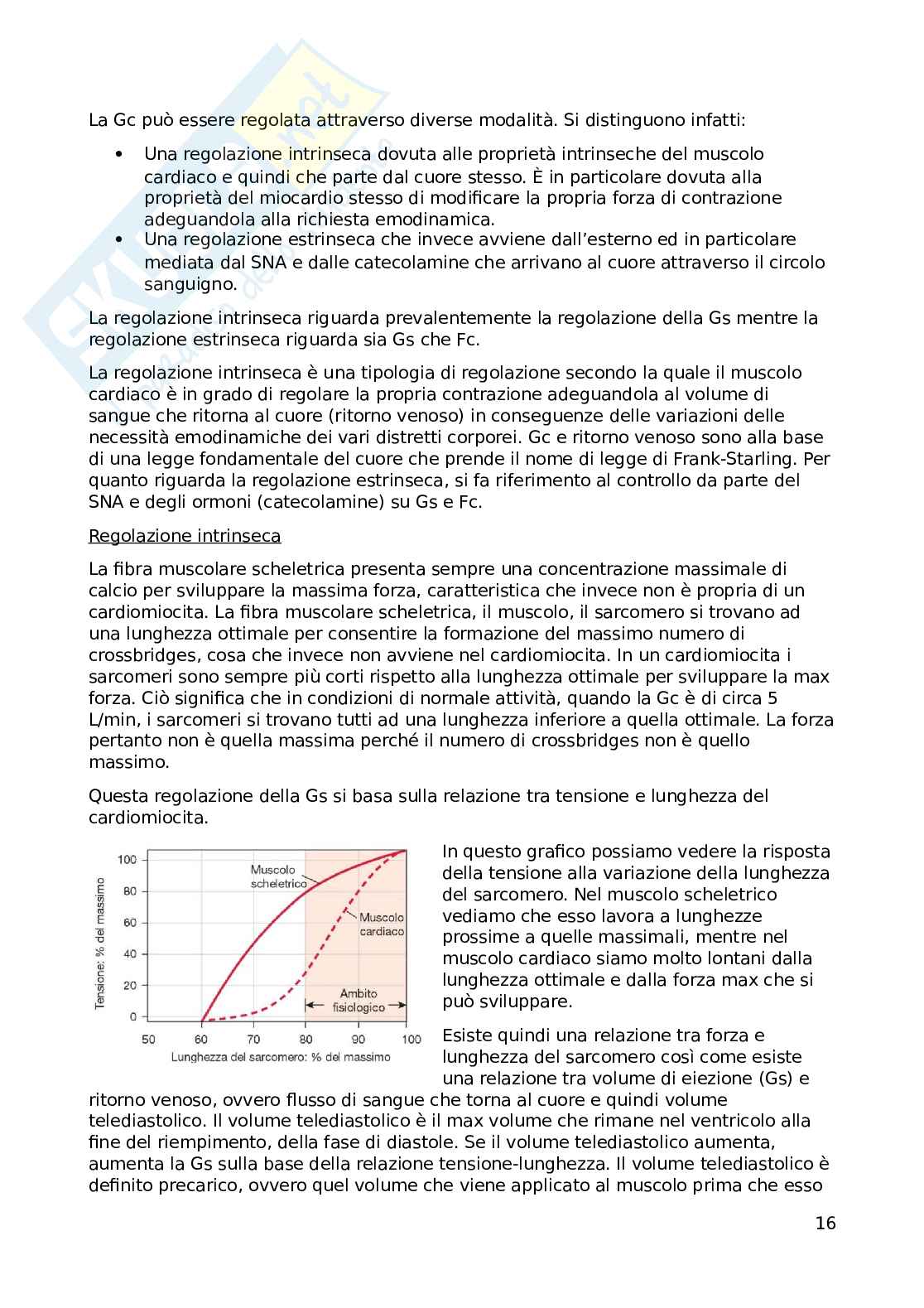 Appunti su elettrofisiologia cardiaca Pag. 16