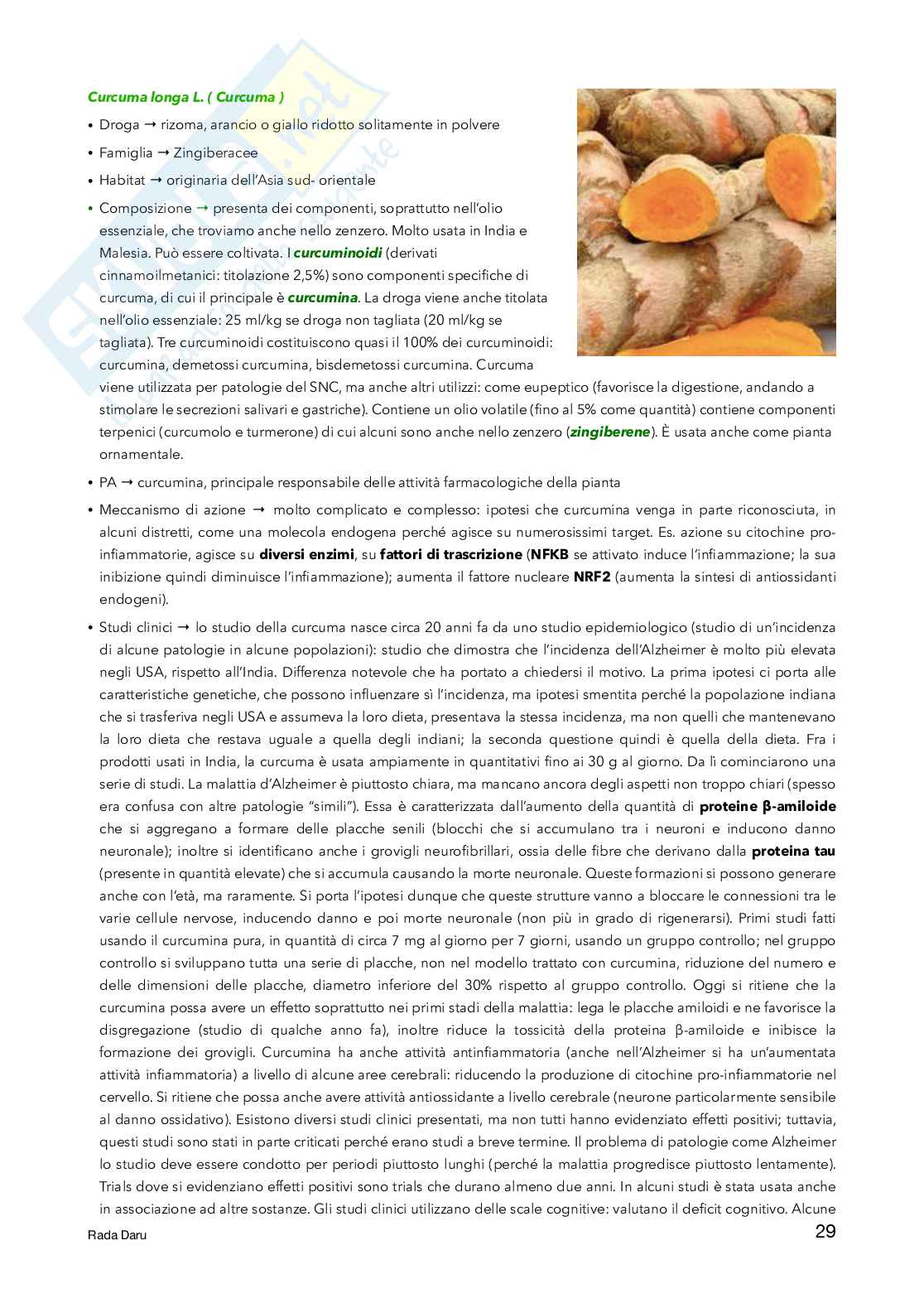 Farmacognosia Pag. 31