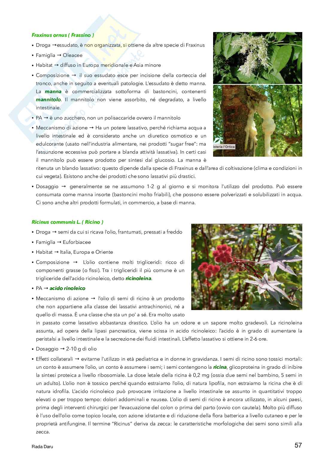 Farmacognosia Pag. 51
