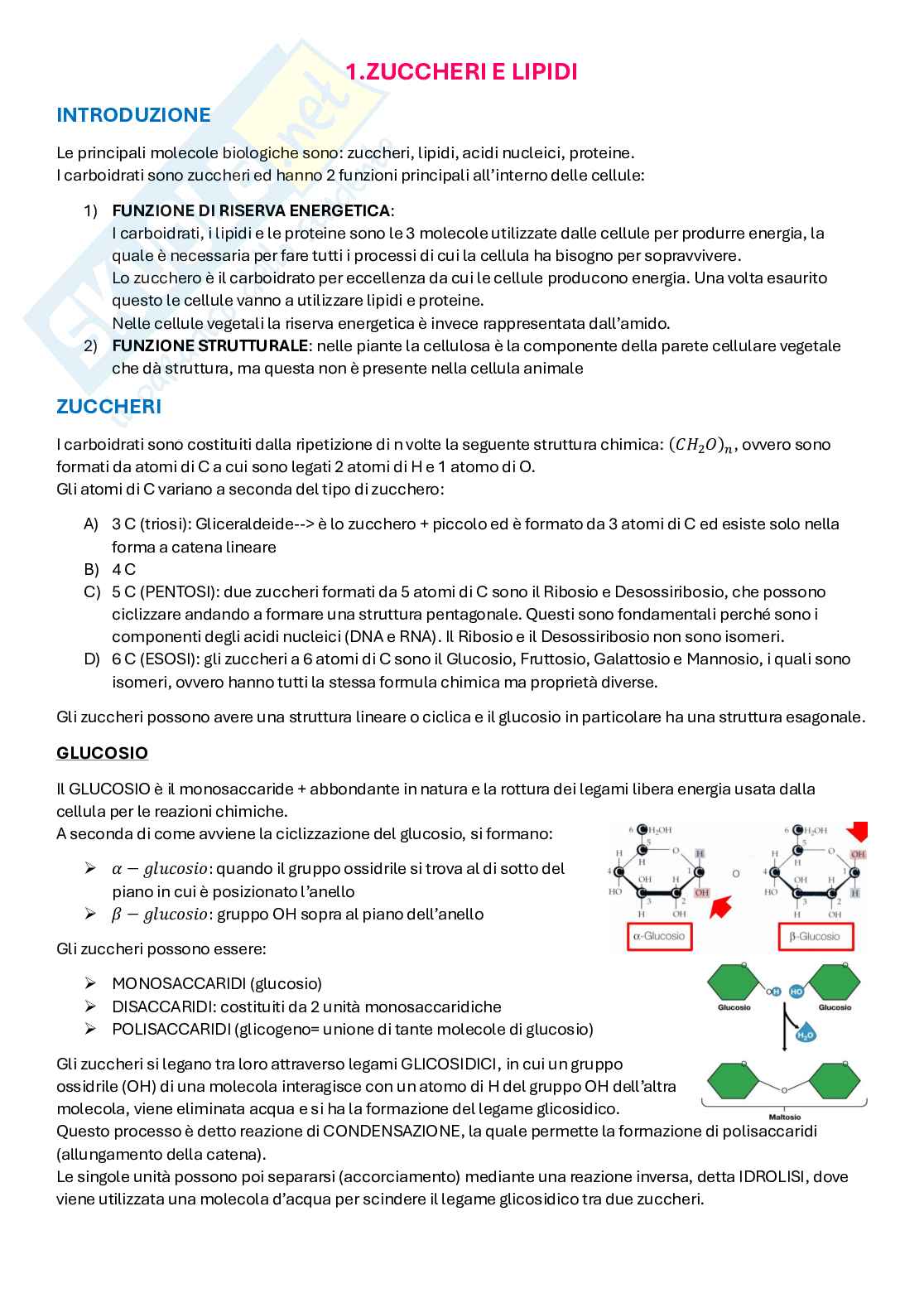 Appunti di Metodologie di Biologia molecolare Pag. 1
