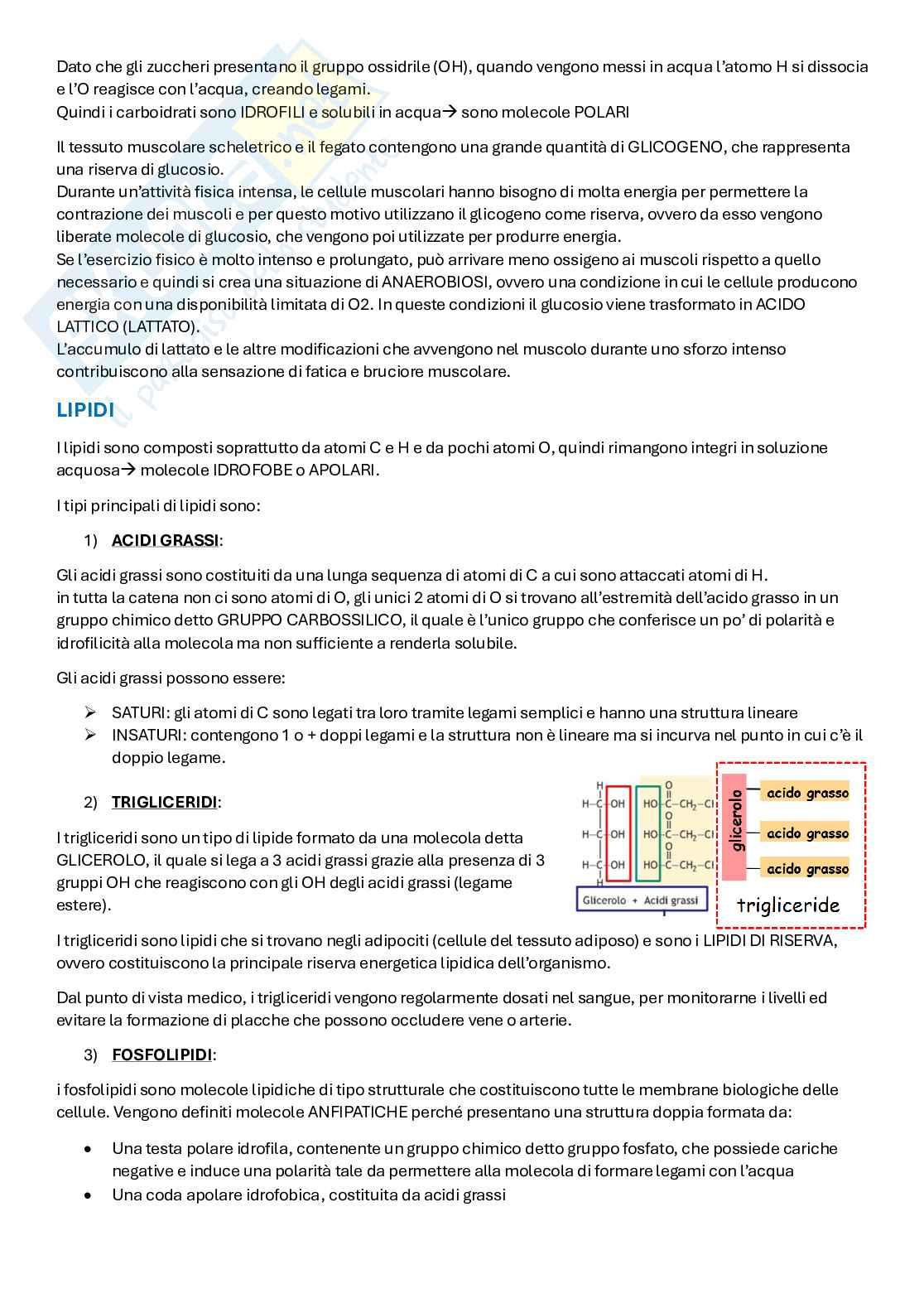 Appunti di Metodologie di Biologia molecolare Pag. 2