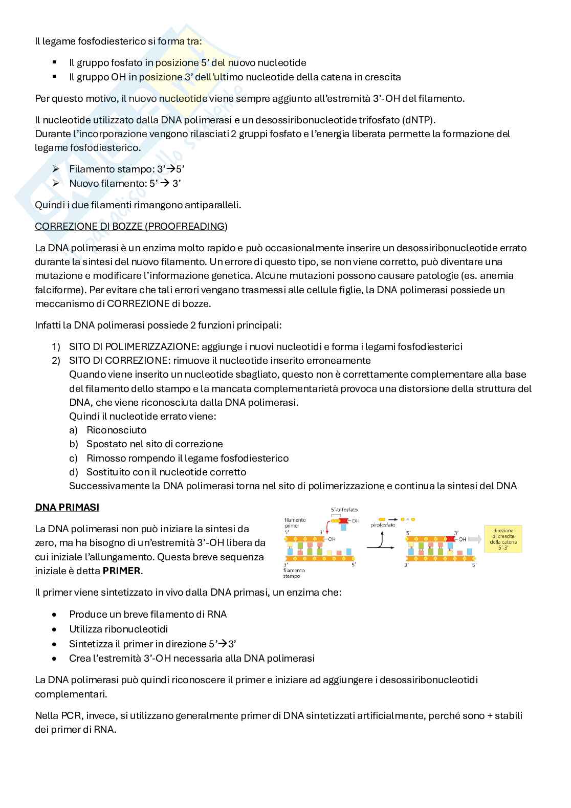 Appunti di Metodologie di Biologia molecolare Pag. 21