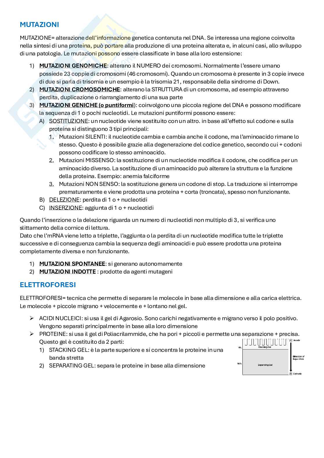 Appunti di Metodologie di Biologia molecolare Pag. 31