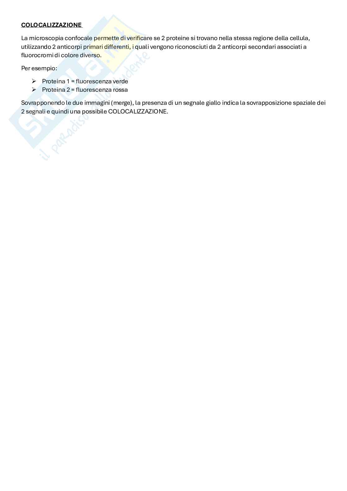 Appunti di Metodologie di Biologia molecolare Pag. 36