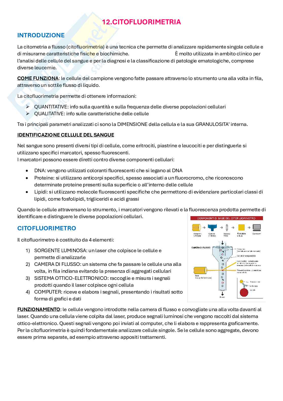 Appunti di Metodologie di Biologia molecolare Pag. 41