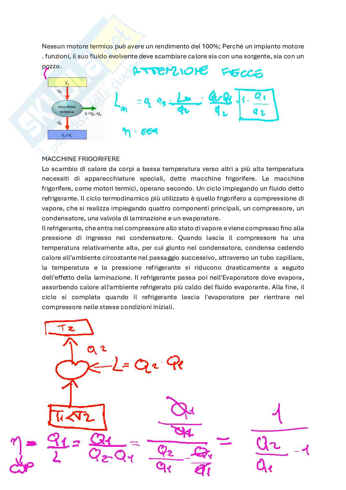 Appunti di Fisica Pag. 21
