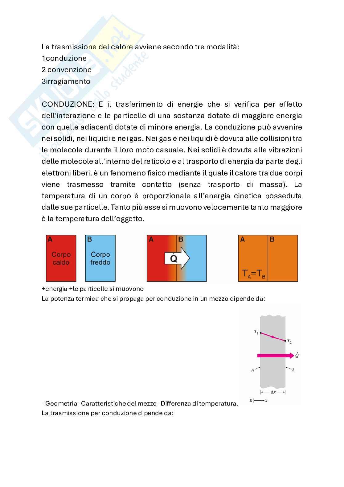 Appunti di Fisica Pag. 31