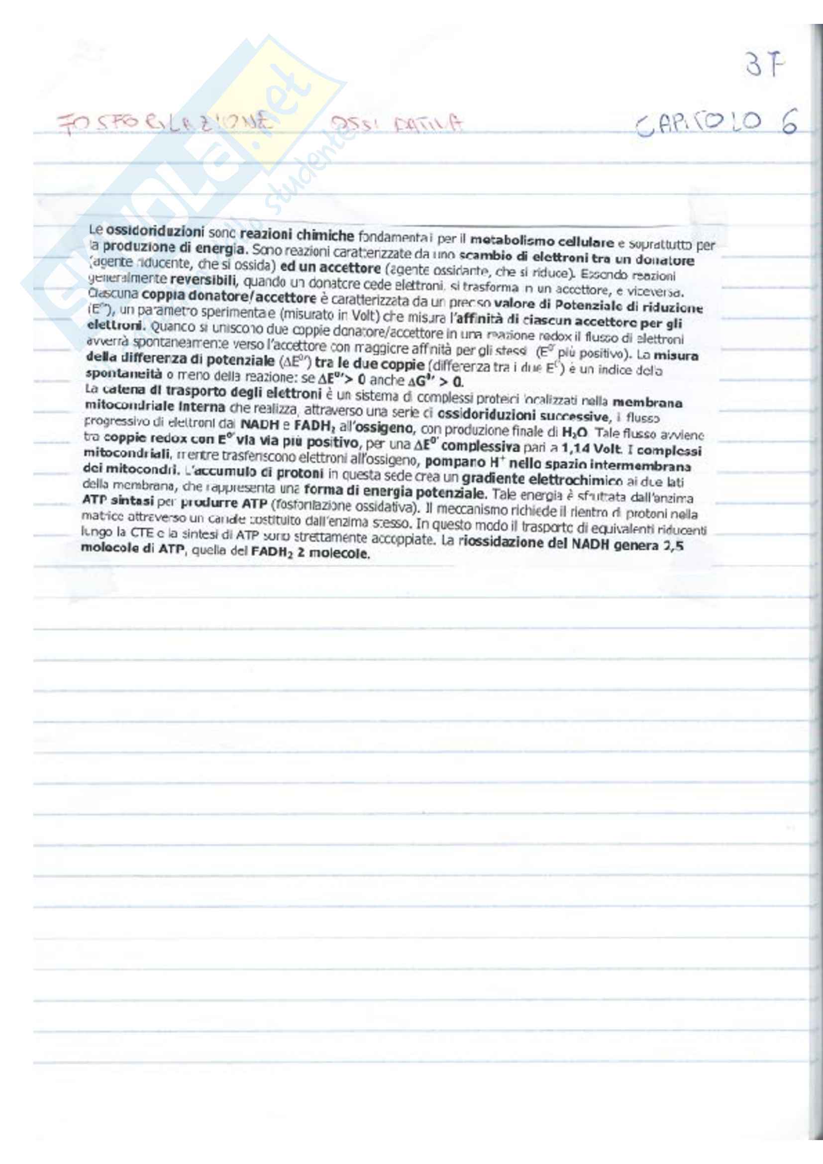 Biochimica generale e dello sport Pag. 36