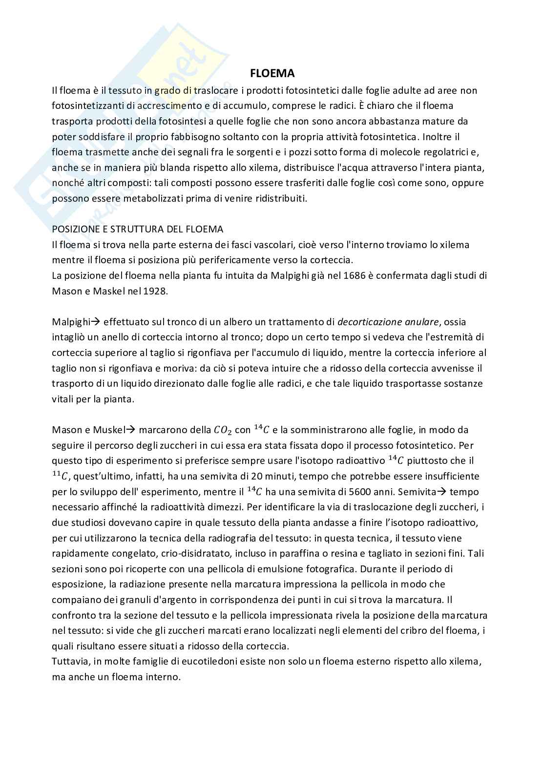 Fisiologia vegetale Pag. 1