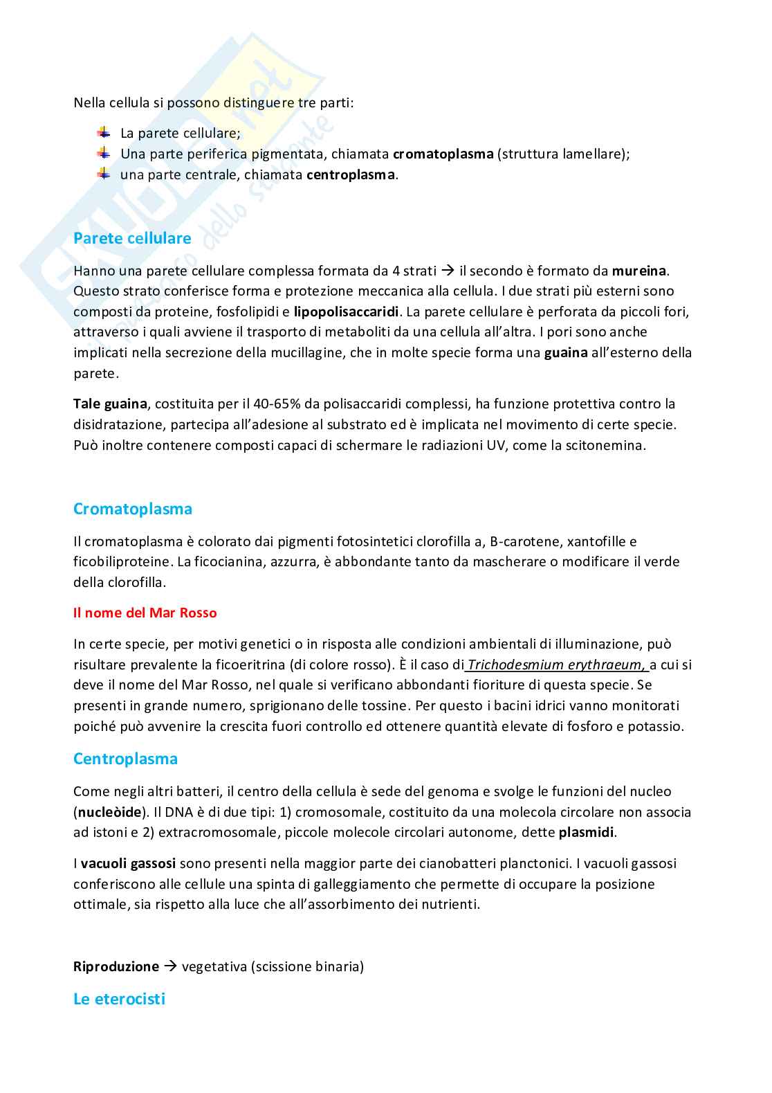 Riassunto esame botanica generale, prof. Santi, libro consigliato Botanica generale e diversità vegetale, Piccin Pag. 51