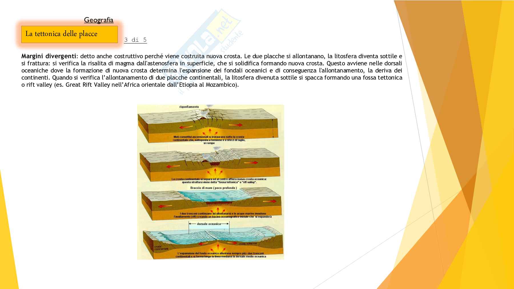 Tesina sulla Coscienza e la Conoscenza Pag. 31