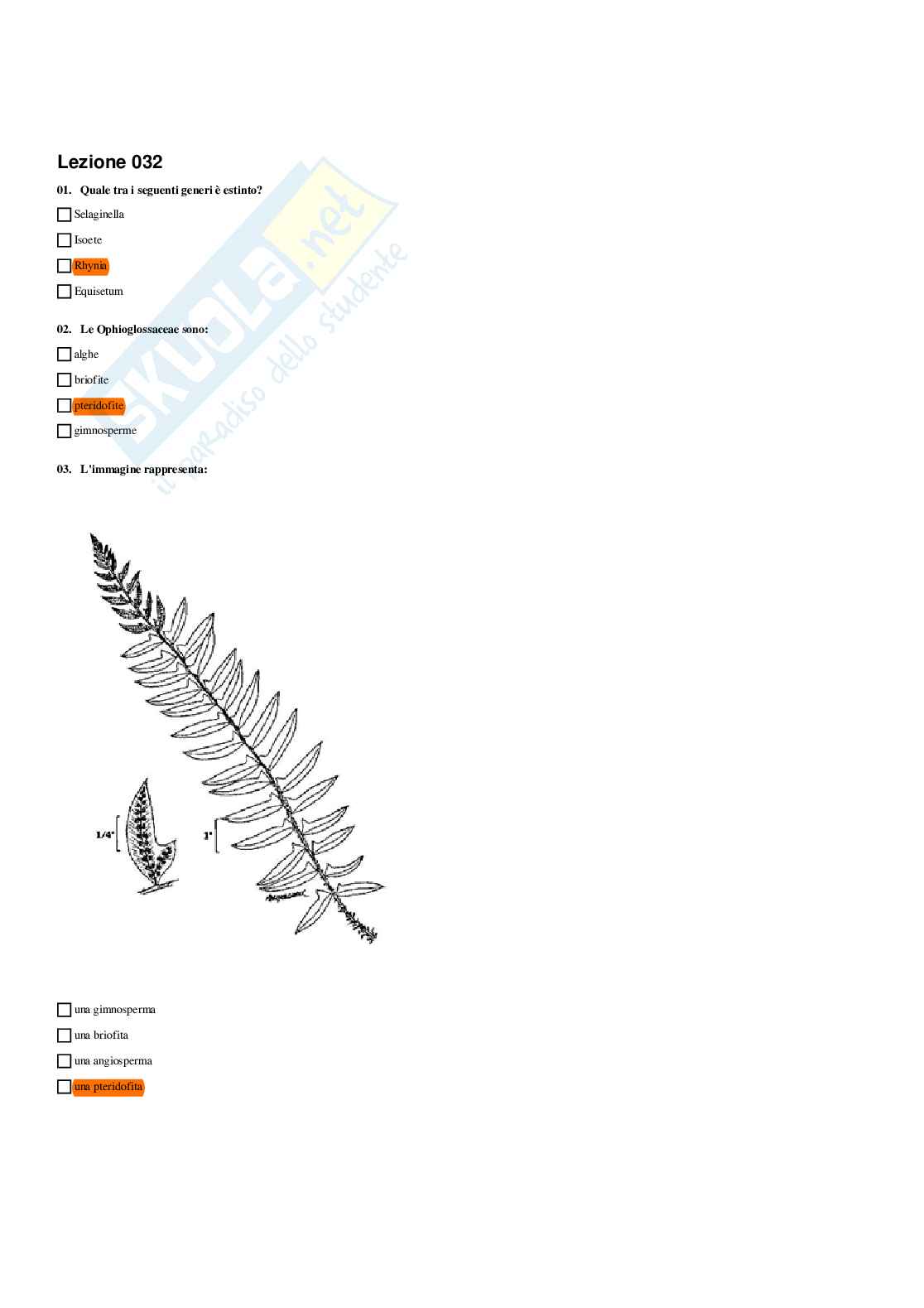 Paniere Botanica e biodiversità vegetale - Risposte multiple - aggiornato (2026) Pag. 41