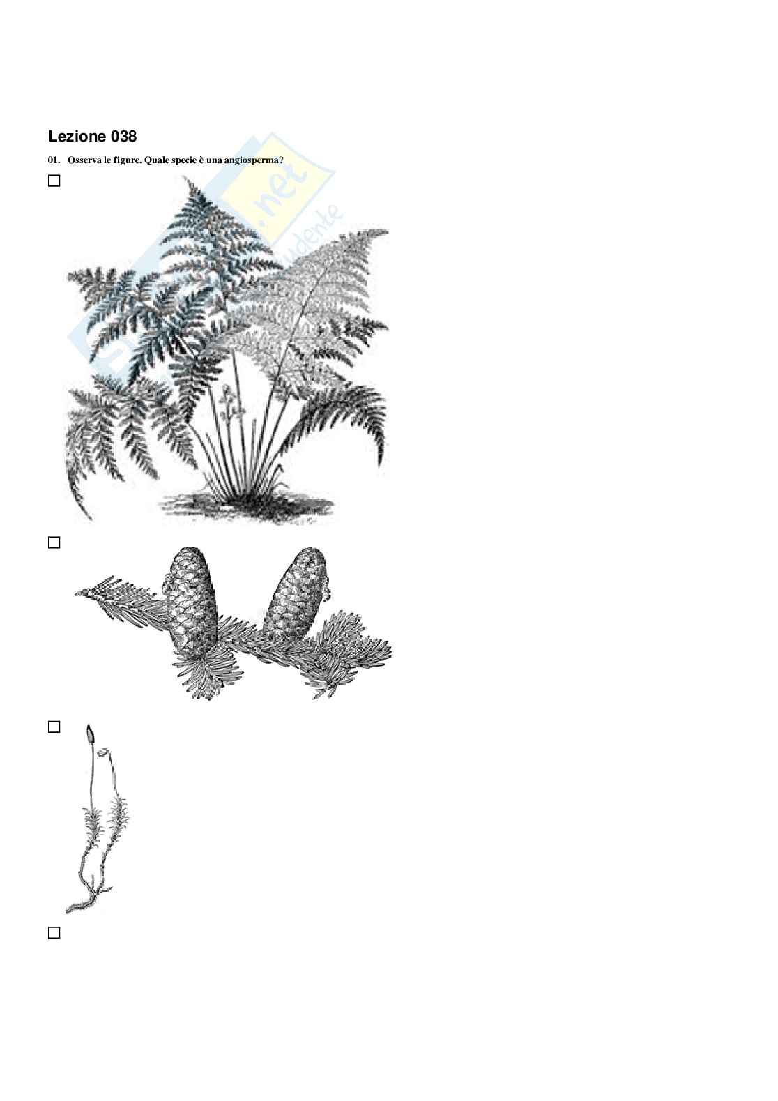 Paniere Botanica e biodiversità vegetale - Risposte multiple - aggiornato (2026) Pag. 46