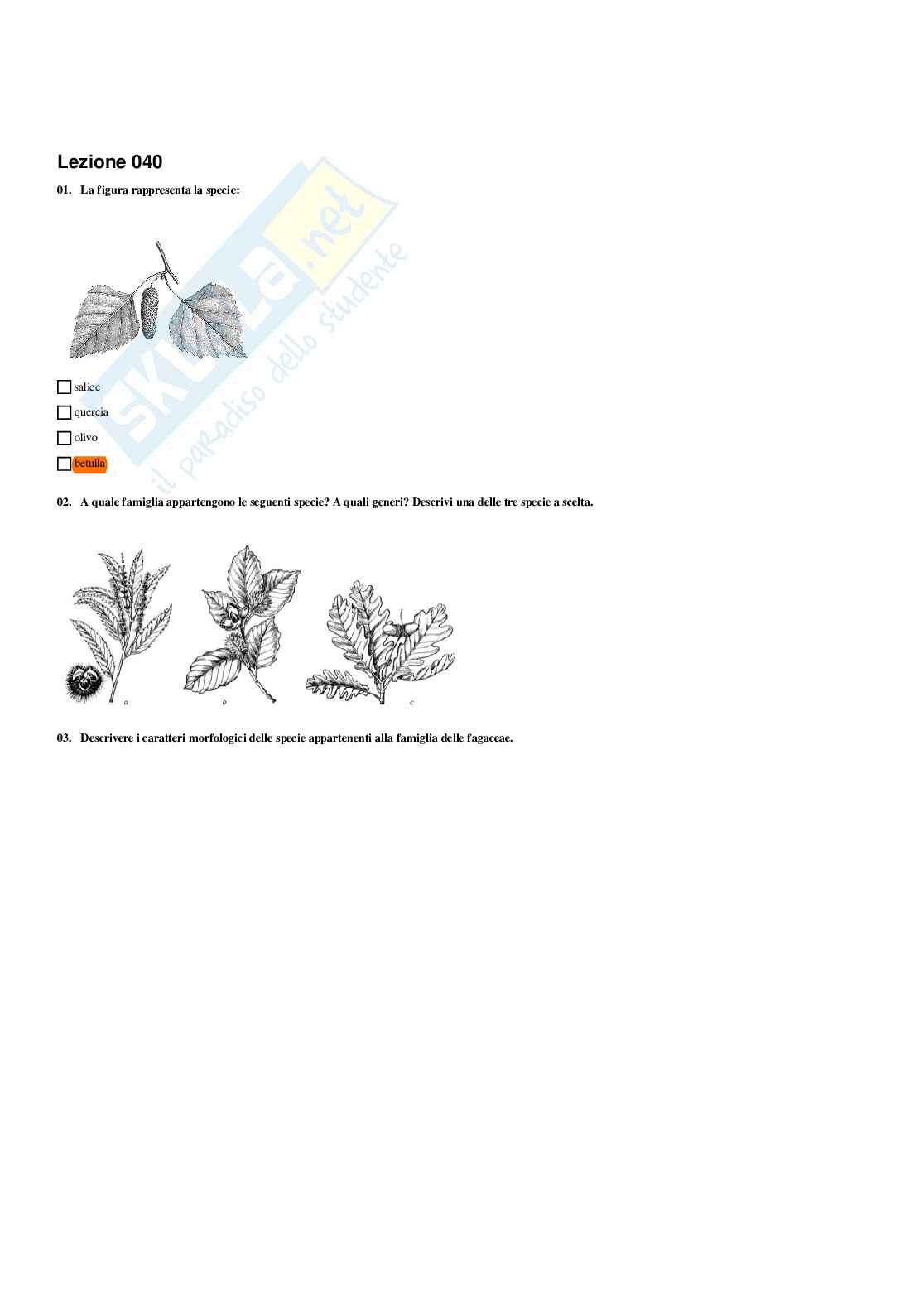 Paniere Botanica e biodiversità vegetale - Risposte multiple - aggiornato (2026) Pag. 51