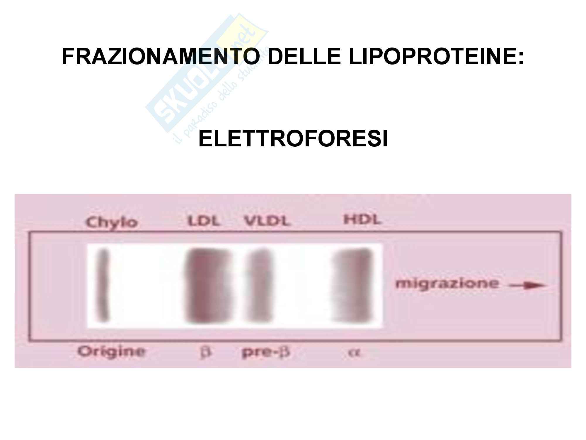Lipidi e lipoproteine Pag. 6