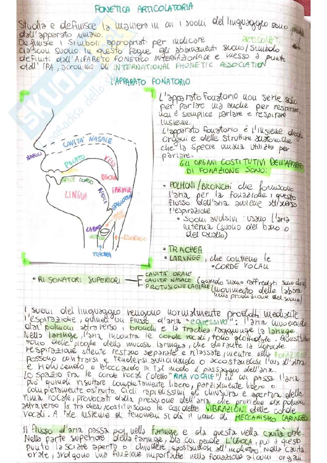 Linguistica generale - linguaggio verbale, fonetica e fonologia, morfologia, sintassi Pag. 11