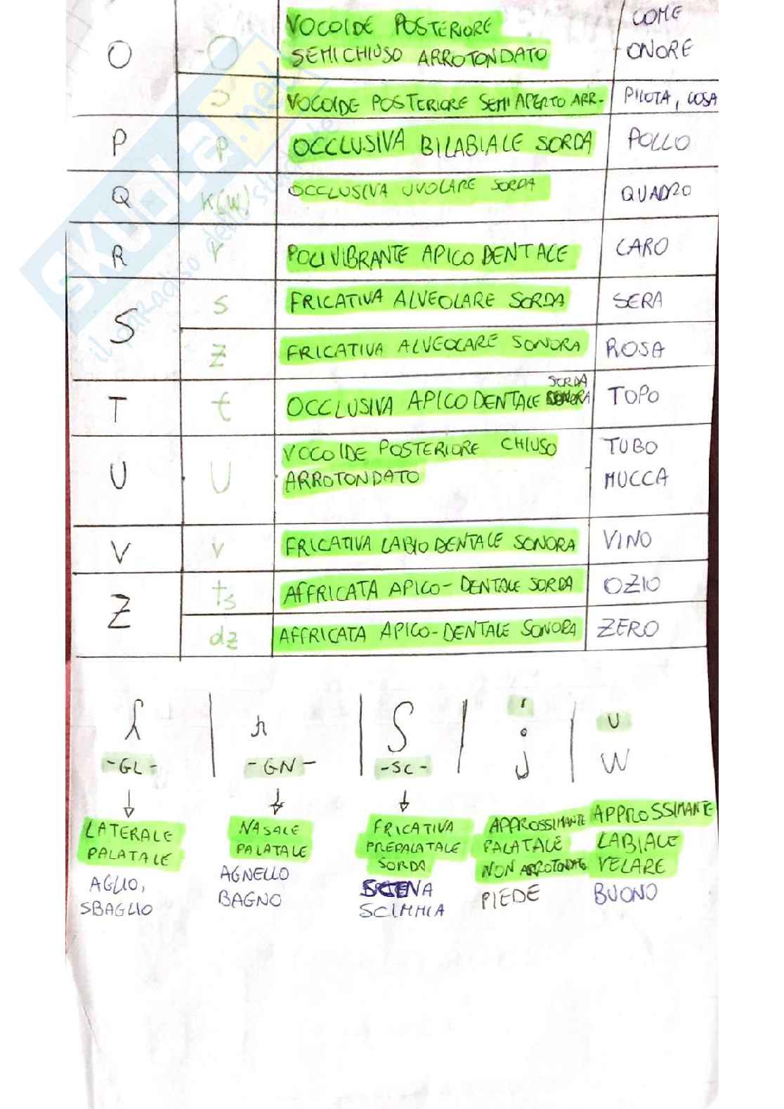 Linguistica generale - linguaggio verbale, fonetica e fonologia, morfologia, sintassi Pag. 16