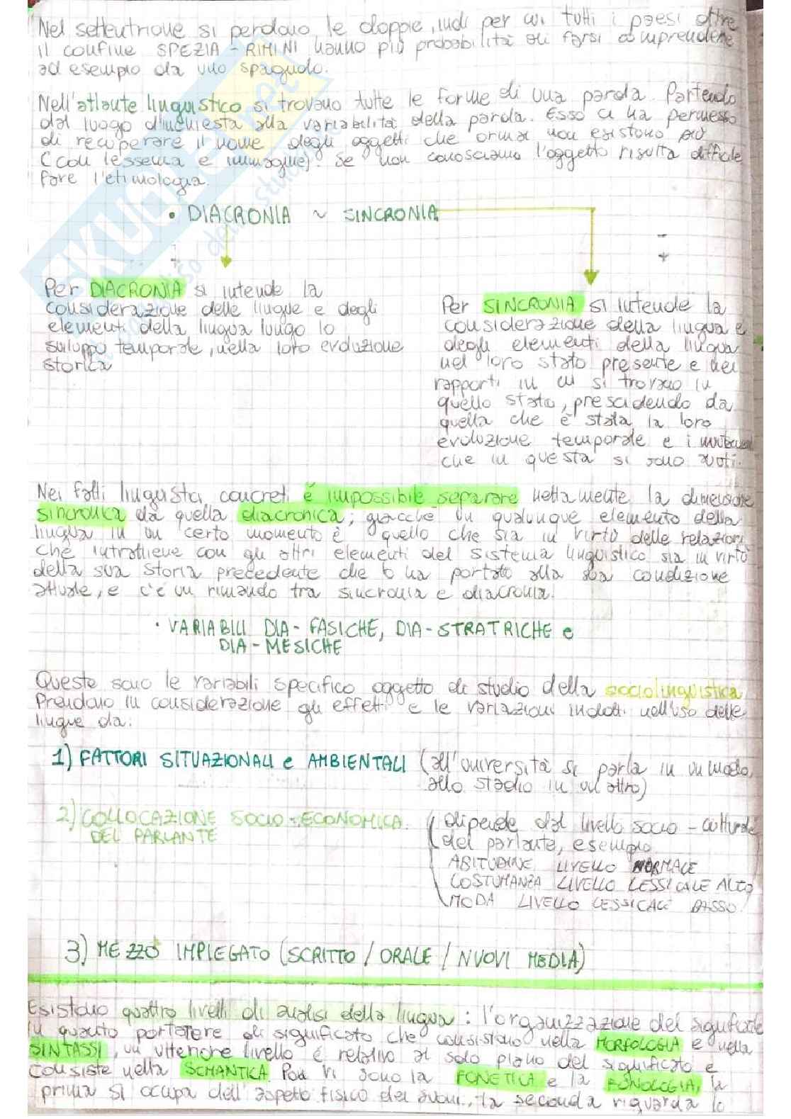 Linguistica generale - linguaggio verbale, fonetica e fonologia, morfologia, sintassi Pag. 2