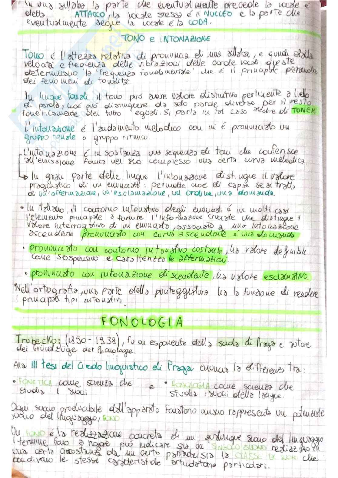 Linguistica generale - linguaggio verbale, fonetica e fonologia, morfologia, sintassi Pag. 21