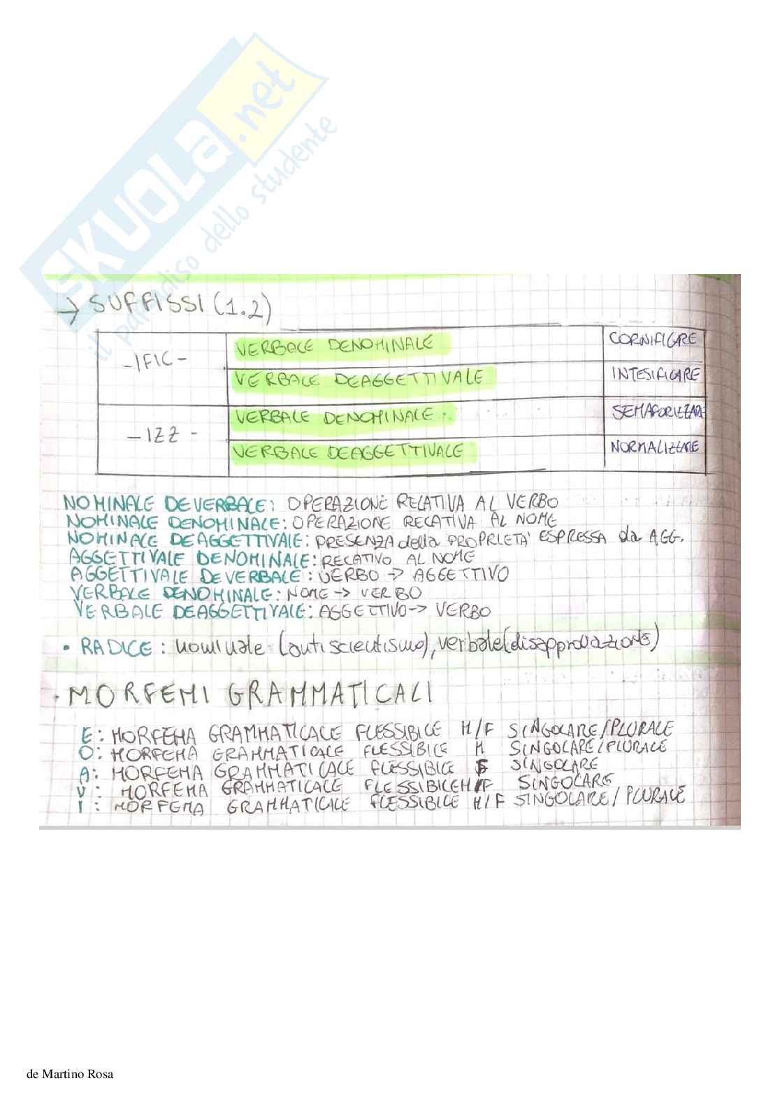 Linguistica generale - linguaggio verbale, fonetica e fonologia, morfologia, sintassi Pag. 31