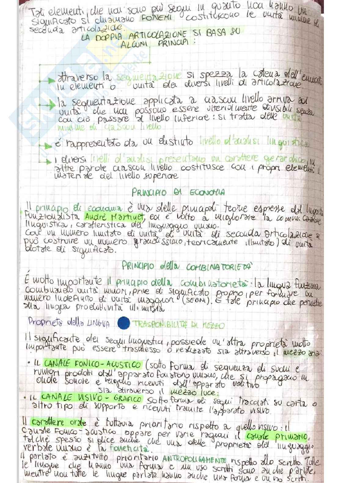 Linguistica generale - linguaggio verbale, fonetica e fonologia, morfologia, sintassi Pag. 6