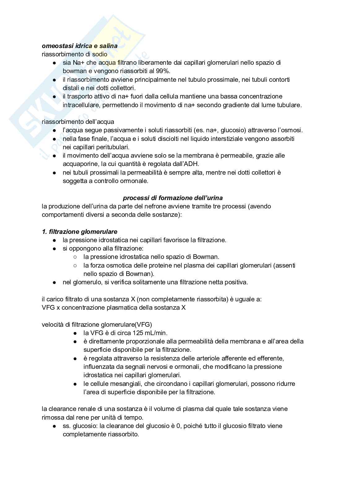 Sistema renale Pag. 2