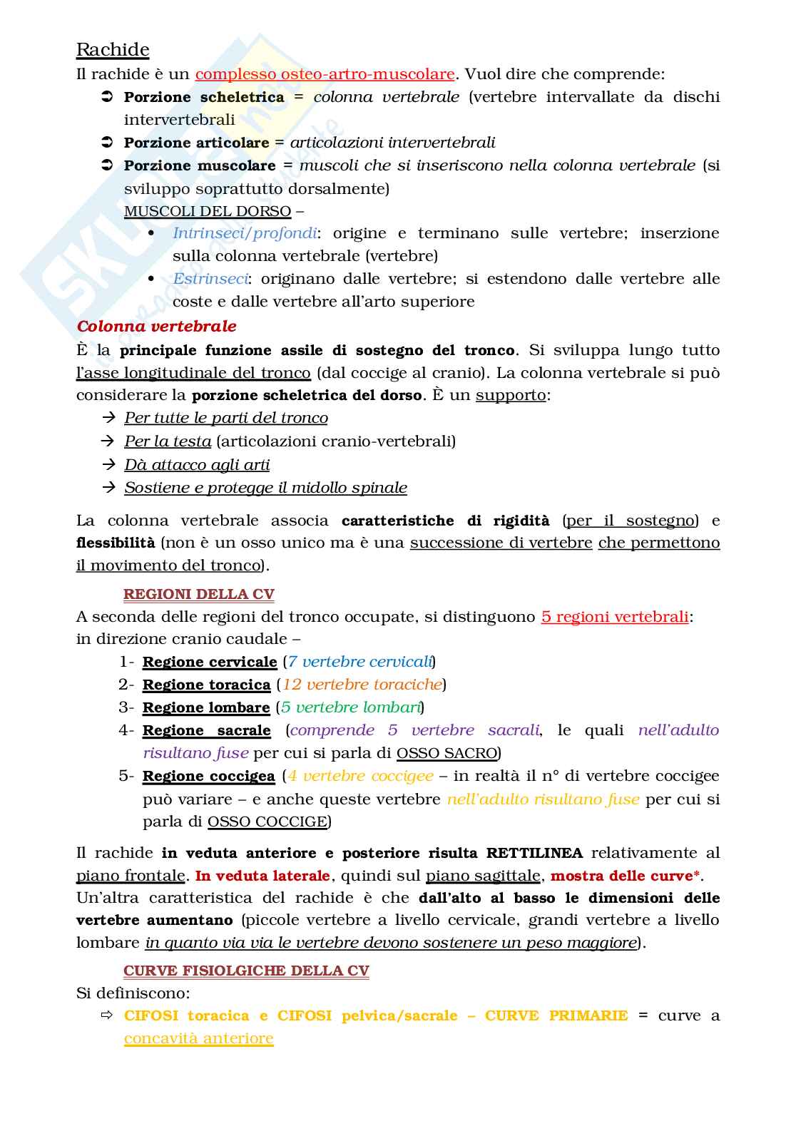 Rachide, apparato locomotore Pag. 1