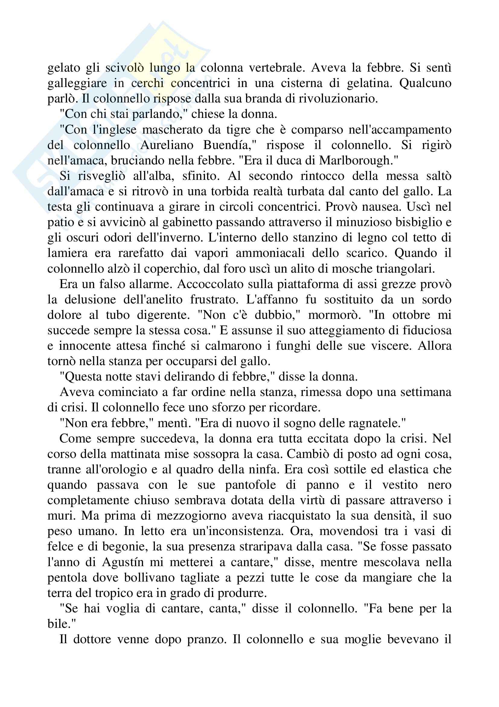 Riassunto esame Lingua Spagnola, prof. Gomez, libro consigliato Nessuno scrive al colonnello, Gabriel Garcà­a Marquez Pag. 16