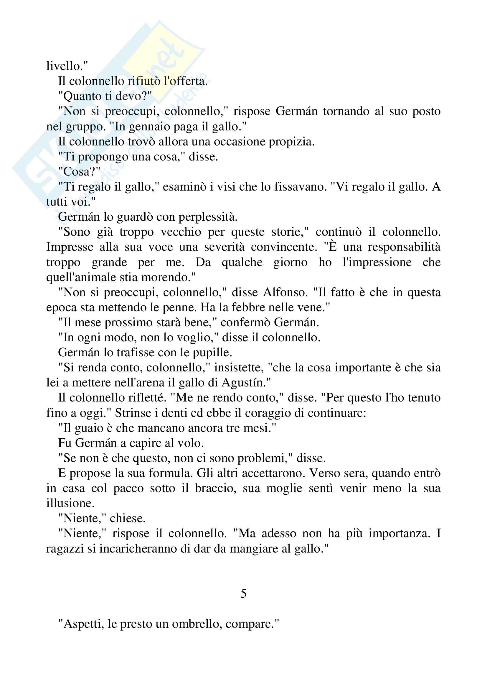 Riassunto esame Lingua Spagnola, prof. Gomez, libro consigliato Nessuno scrive al colonnello, Gabriel Garcà­a Marquez Pag. 31