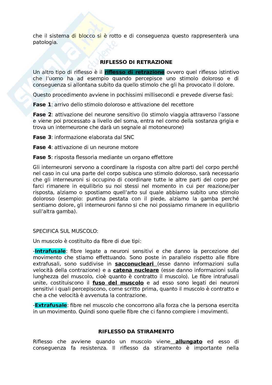 Riflessi ed encefalo Pag. 2