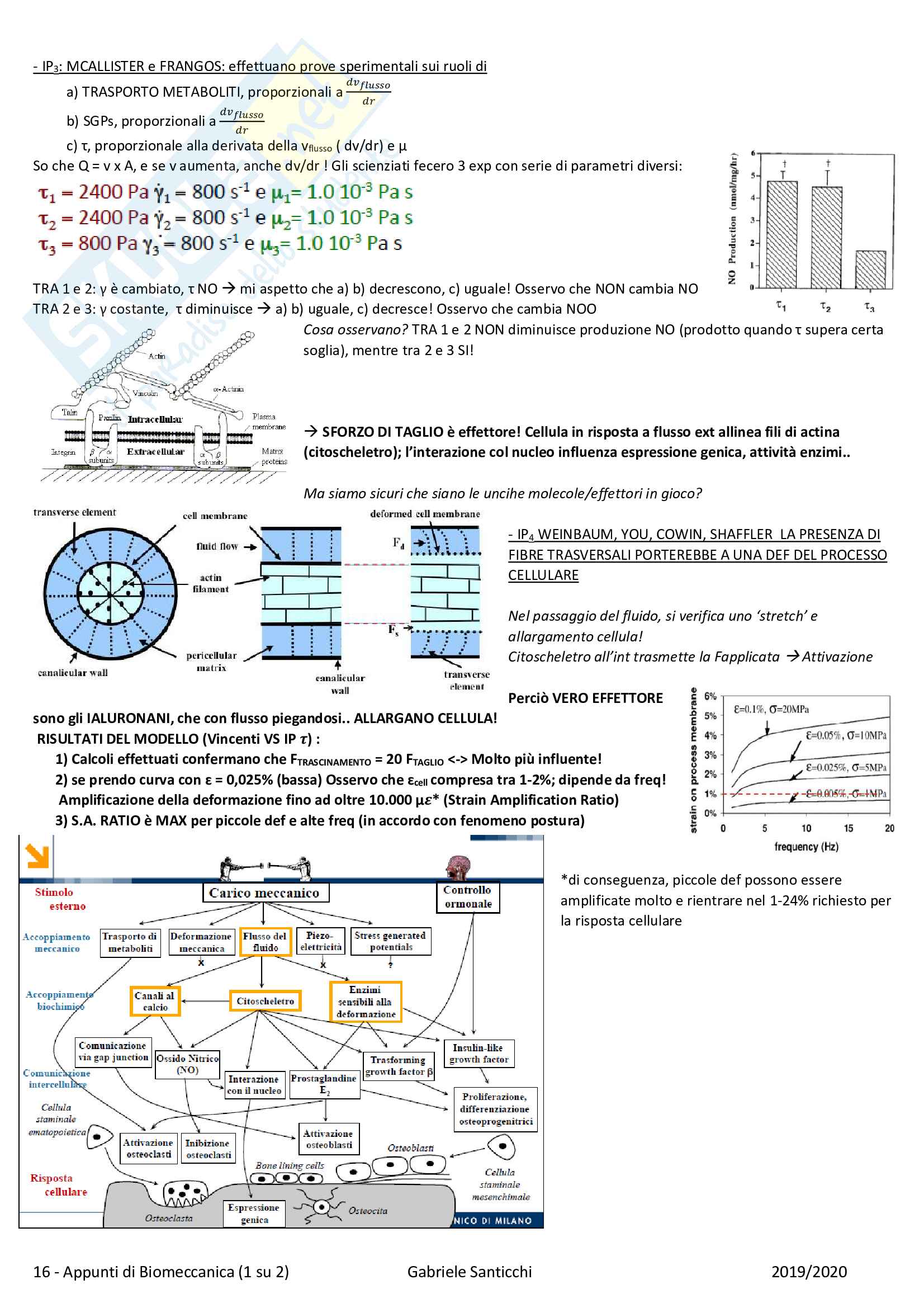 Appunti Biomeccanica (1 su 2) Pag. 16