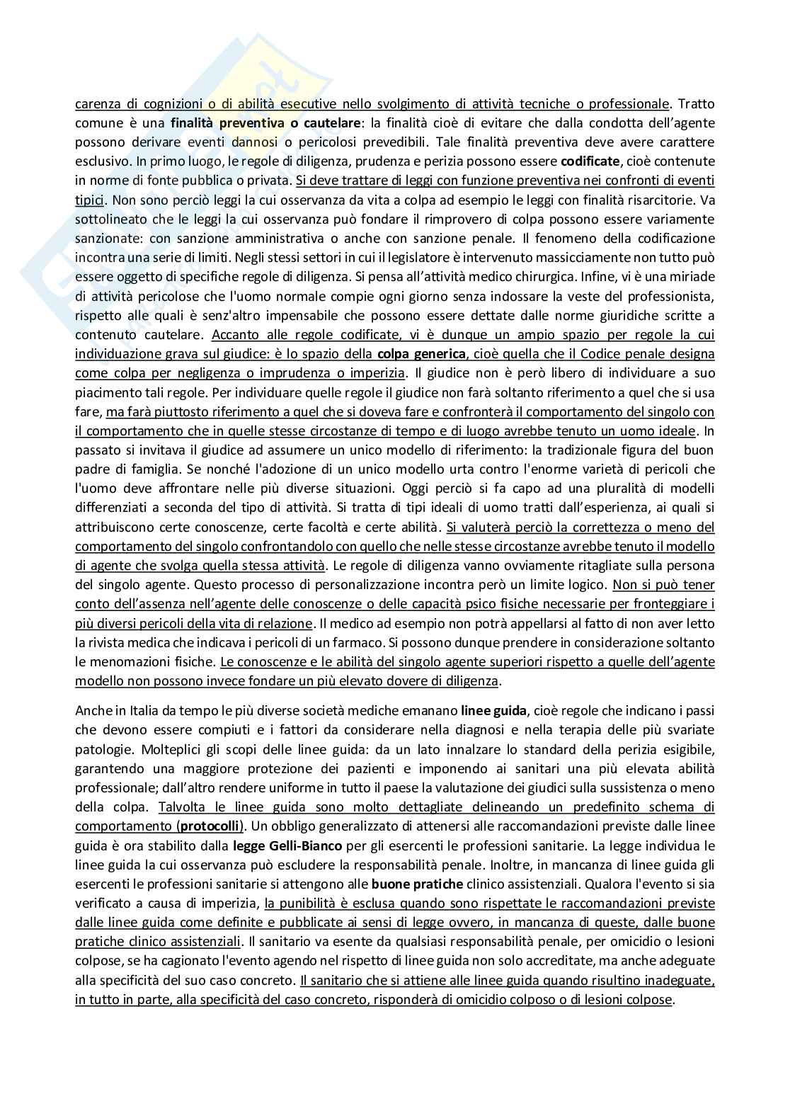 Diritto Penale - riassunto completo Pag. 51
