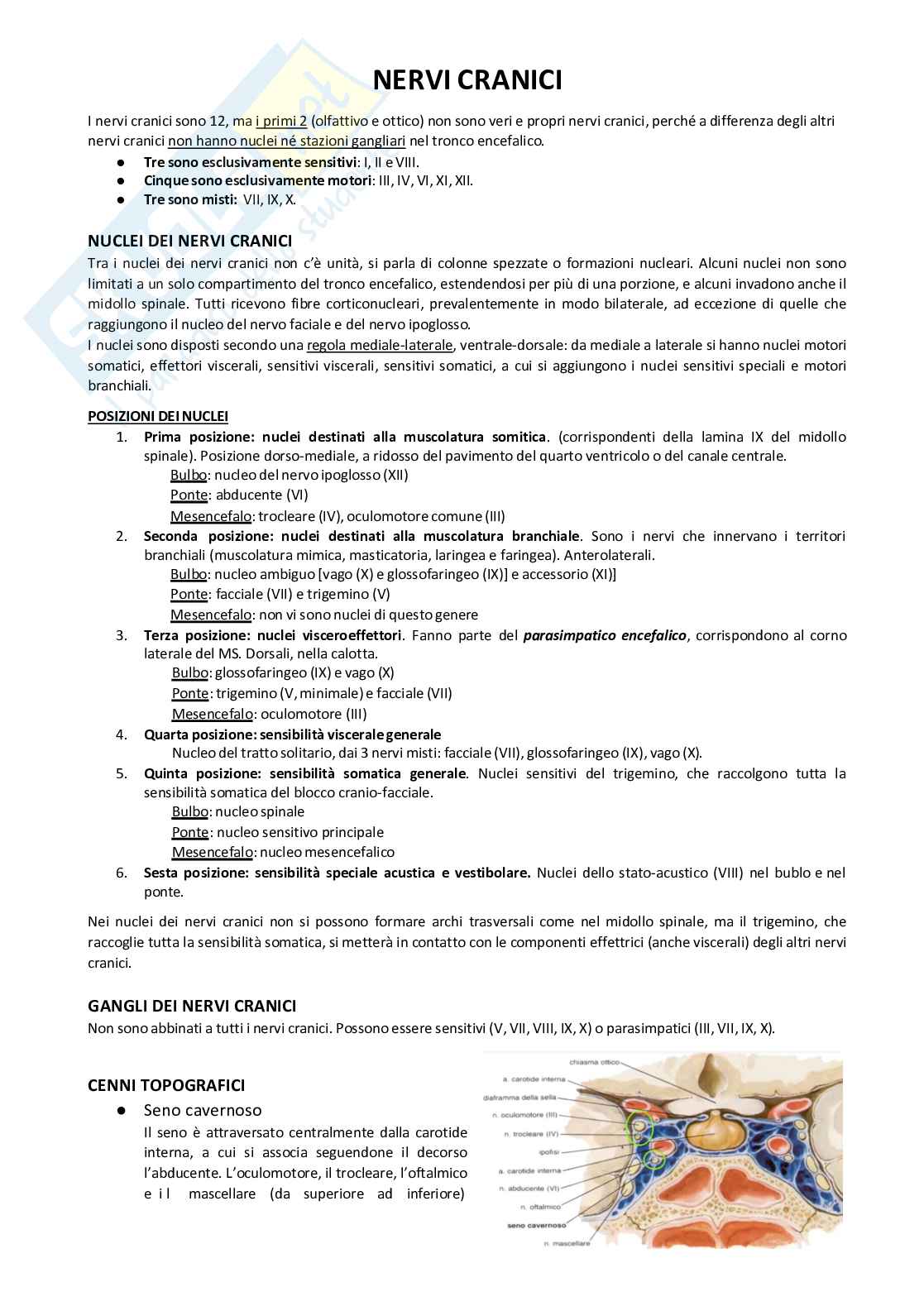 Sistema nervoso periferico Pag. 1