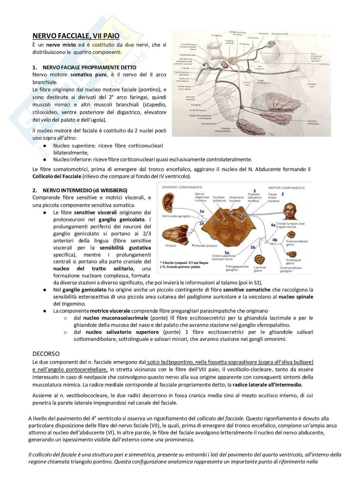 Sistema nervoso periferico Pag. 11