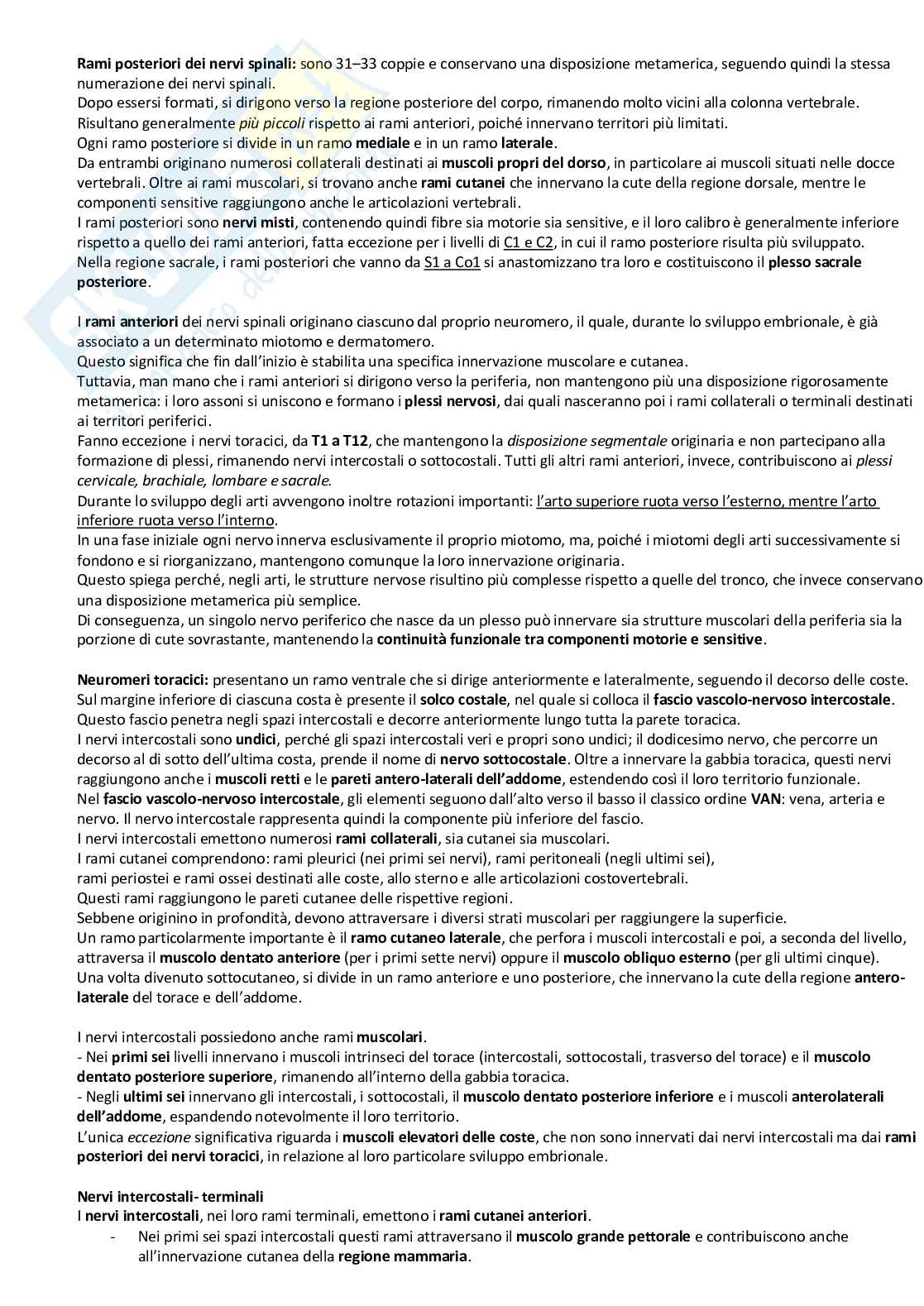 Sistema nervoso periferico Pag. 26